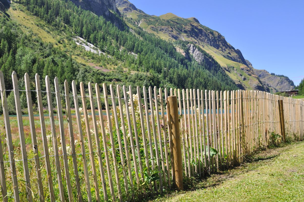 clôture ganivelle bois