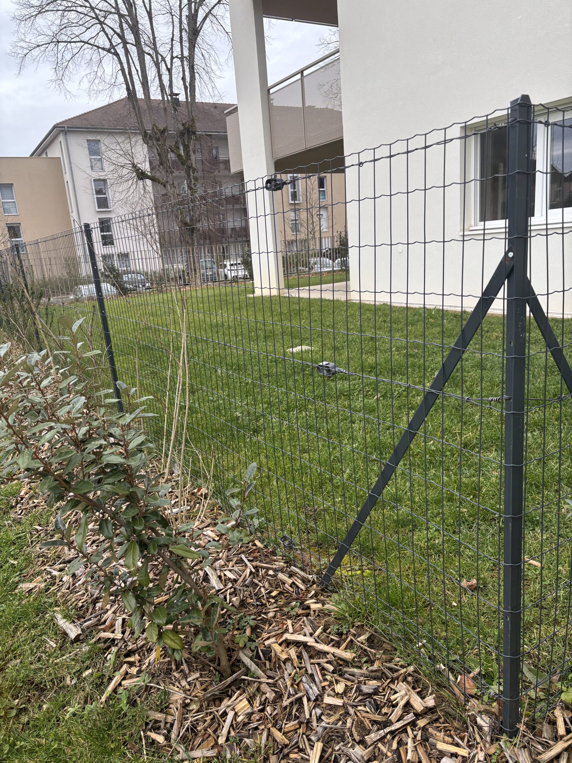 GRILLAGE SOUDÉ EN ROULEAUX – Image 2